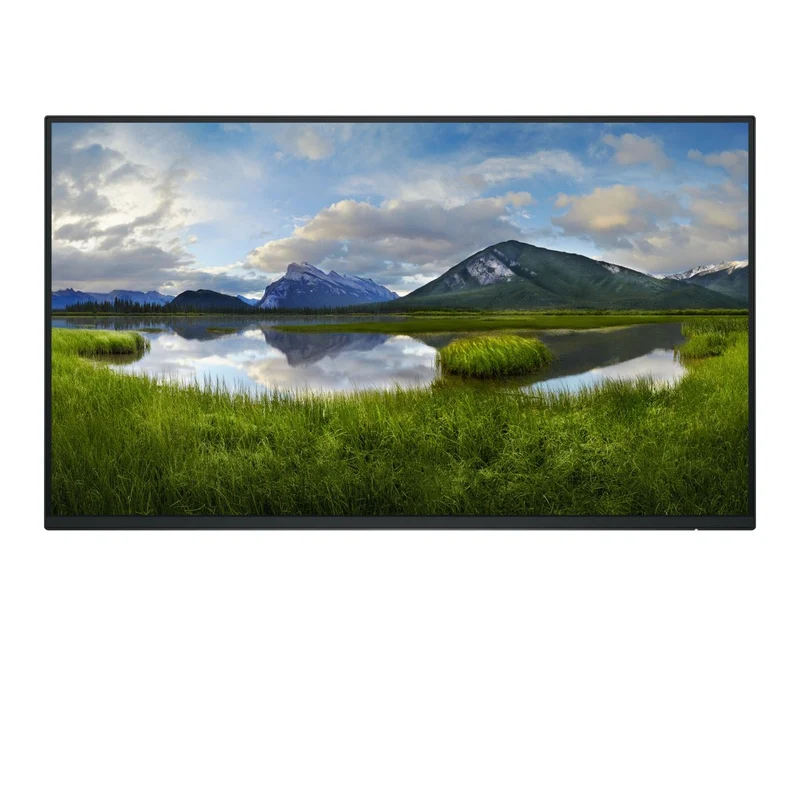 Dell 24 Monitor P2425H Without Stand