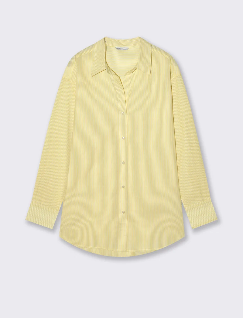Camicia a righe manica lunga regular - var 2