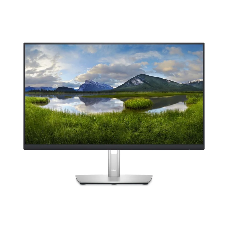 Dell 24 Monitor P2423D 60,5Cm (23,8 )